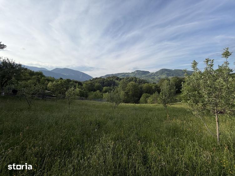 Teren de 2000 mp, în Moieciu