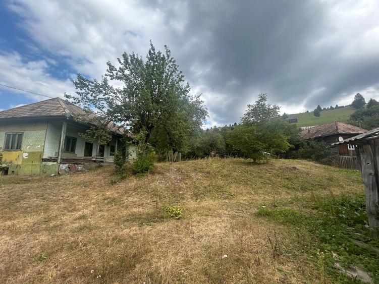 Spațiu comercial, în Dămuc