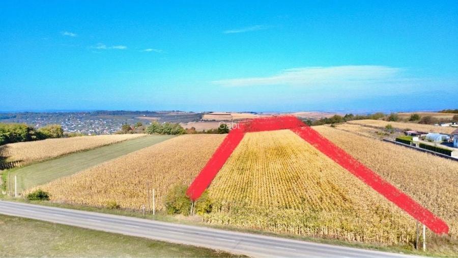 Teren Falticeni strada Ion Creanga