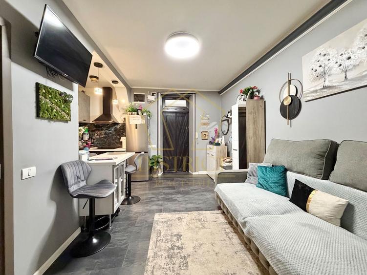 Apartament cu 2 camere semidecomandat, mobilat în Take Ionescu