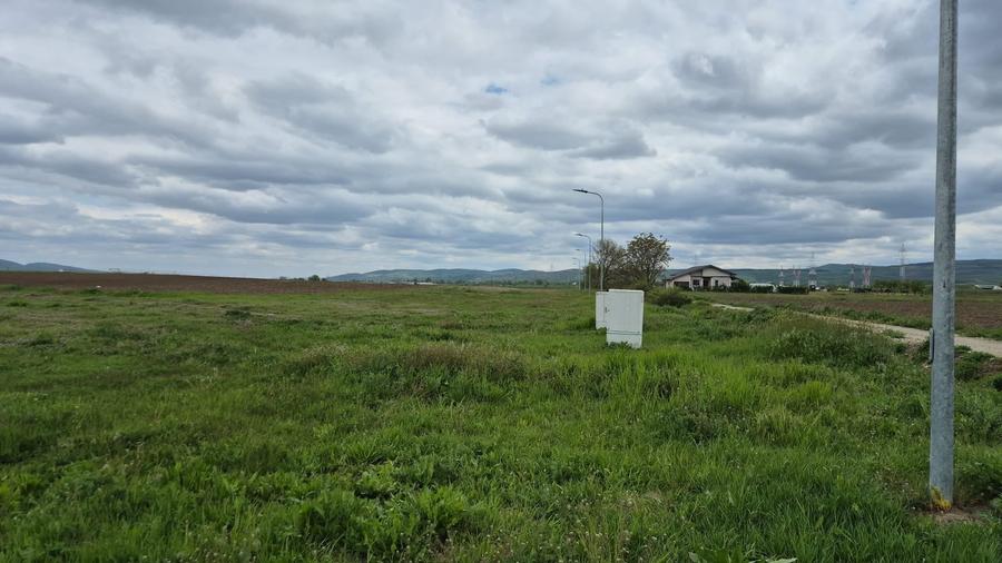 Teren Construcții de 800 mp, în Partoș