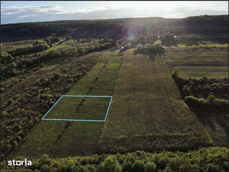 Teren de 1300 mp, în Chinteni