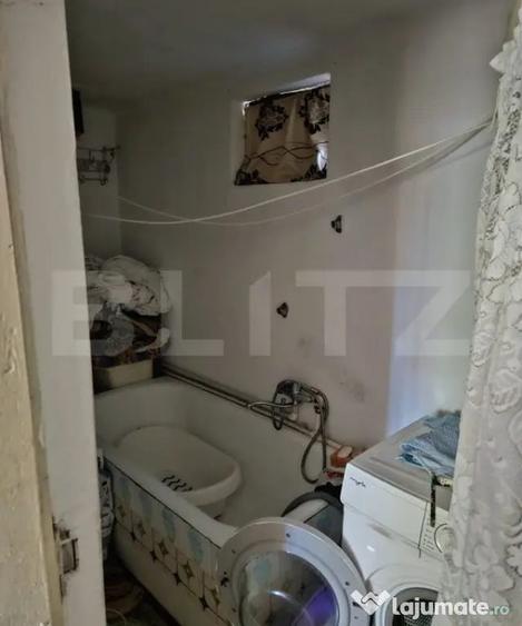 Casa spa?ioasa cu livada, intr-o zona lini?tia la 2 - 13