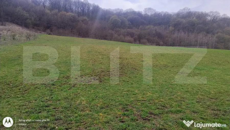 Teren superb 2.500 mp in Nicula lini?te, natura ?i p - 3