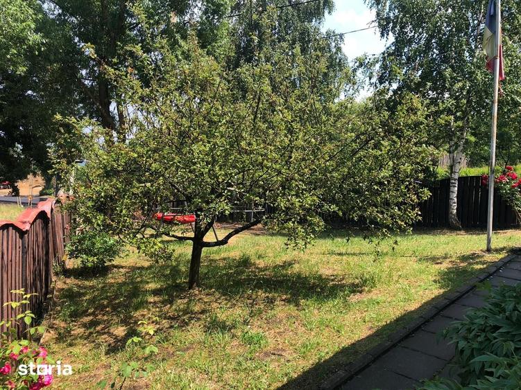 Casă cu 3 camere cu Teren 350 Mp în Moieciu