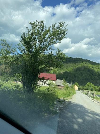 Teren de 2600 mp, în Vișeu de Sus