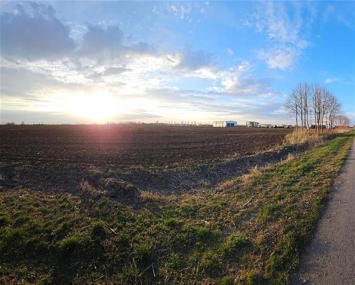 Teren Construcții extravilan de 12900 mp, în Căciulați