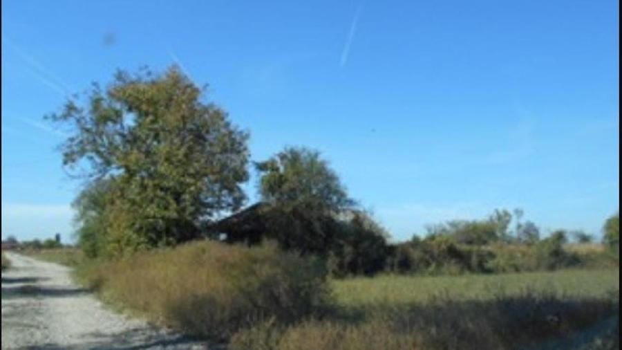 Teren agricol extravilan de 4175 mp, în Puchenii Mari