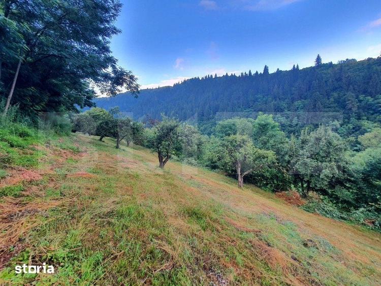 Teren intravilan, 31 ari, Ilva Mica, zona montana - 7
