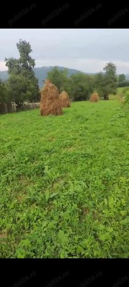 Teren în Ceahlău