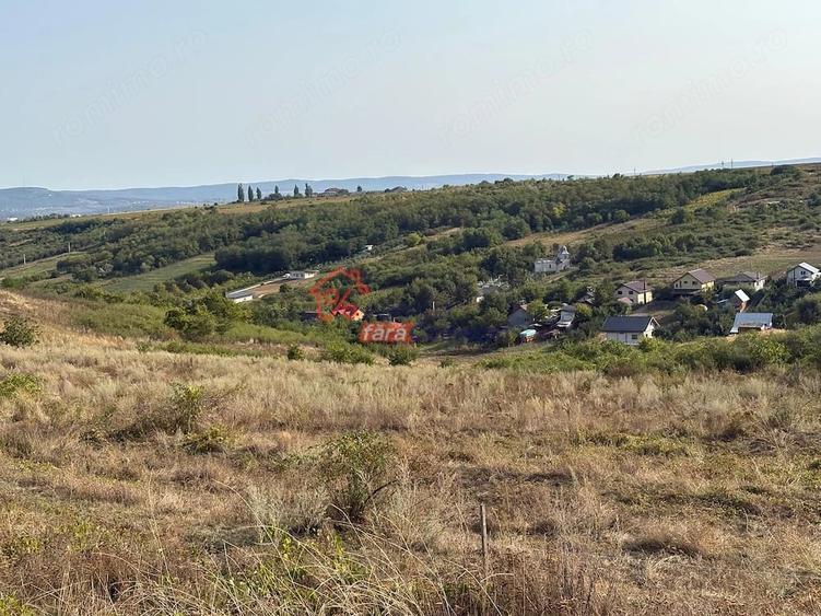 Teren de 19000 mp, în Șorogari