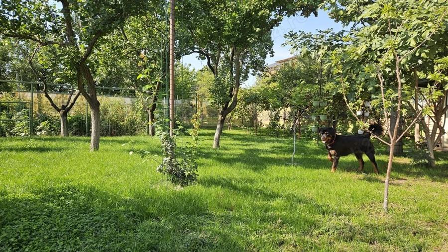 Casă cu 5 camere cu Teren 840 Mp în Lipovei