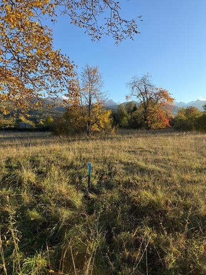 Vistisoara (poalele Muntilor Fagaras) - 5.200 mp - 156.000 euro (30 euro/ mp) - 2