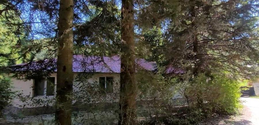 Casă cu 4 camere în Pădurea Neagră