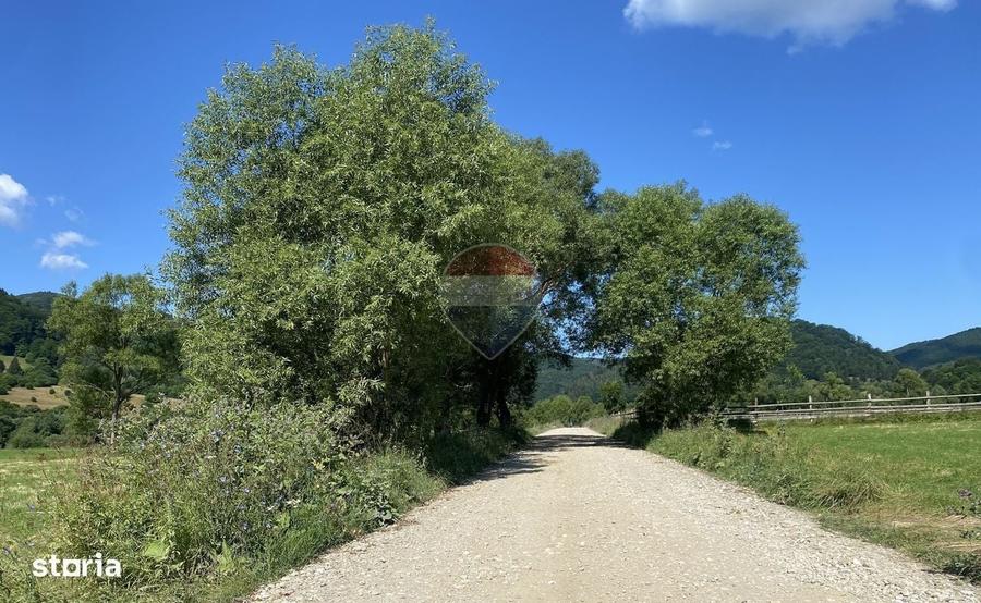Teren 4,306mp Vama Buzaului langa Cascada Urlatoarea - 7