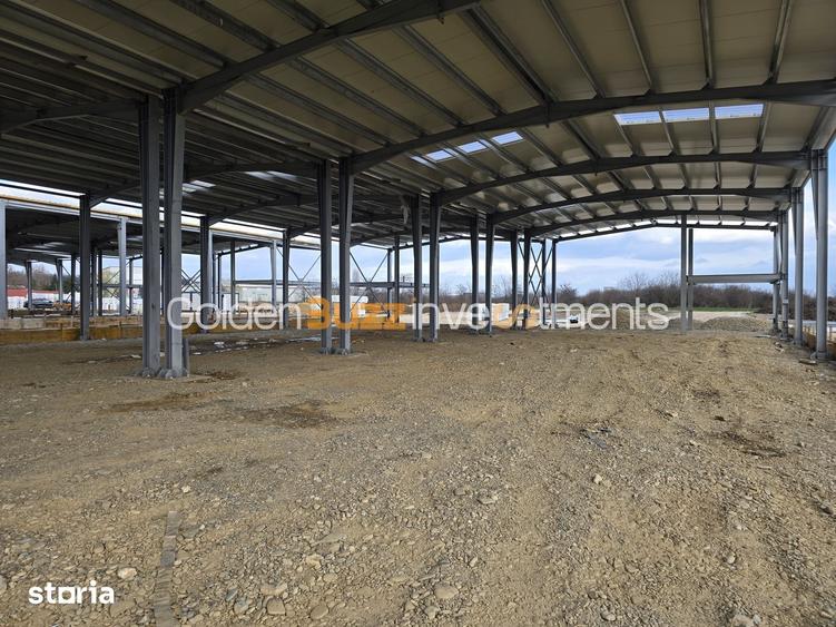 Spațiu comercial, de 9,000 mp, în Găneasa
