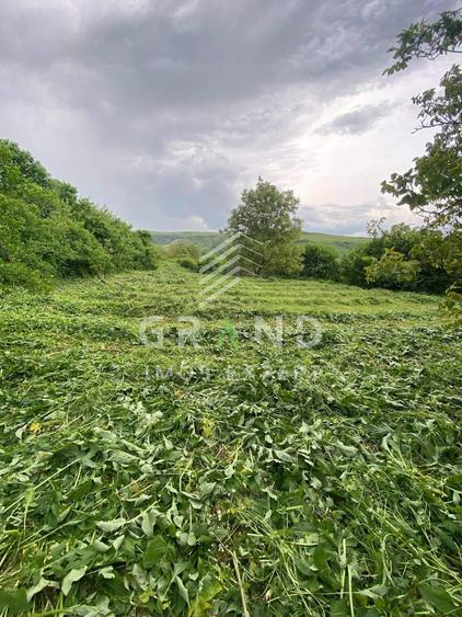 Teren agricol extravilan de 2200 mp, în Rădaia