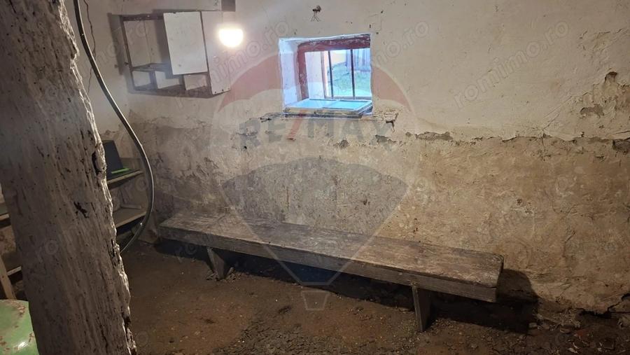 Casă cu 1 camere cu Teren 360 Mp în Richiș