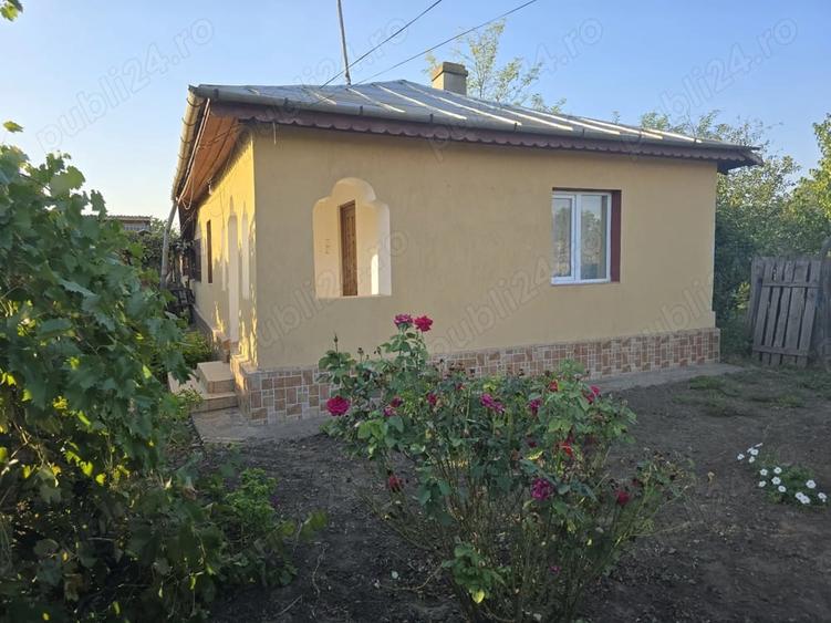 Casa la tara in Jud. Buzau - 11