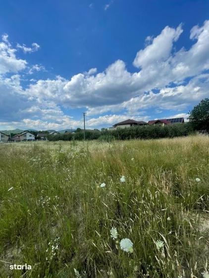 Teren de 1456 mp, în Tăuții-Măgherăuș