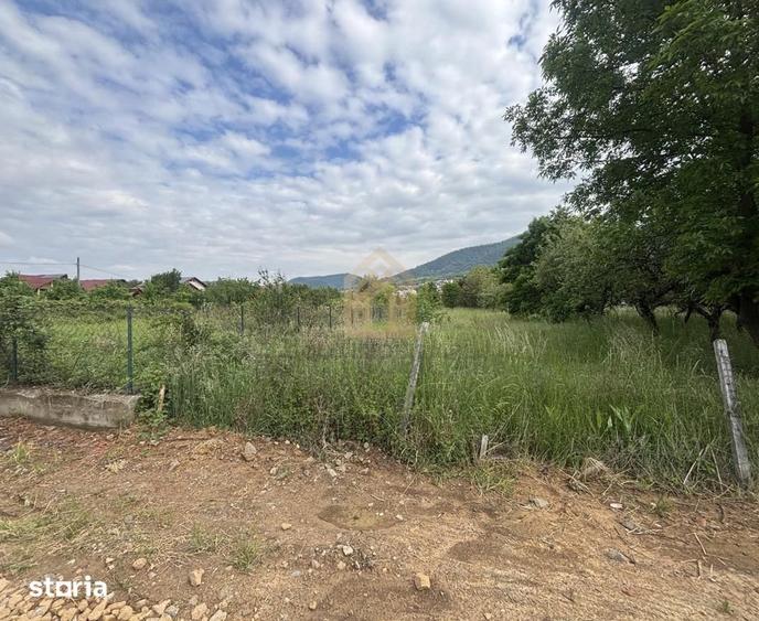 Teren de 3700 mp, în Valea Borcutului