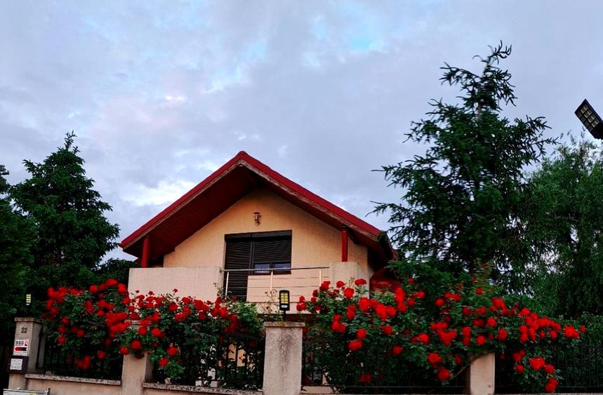 Casă individuală cu 3 camere cu Teren 530 Mp în Glina