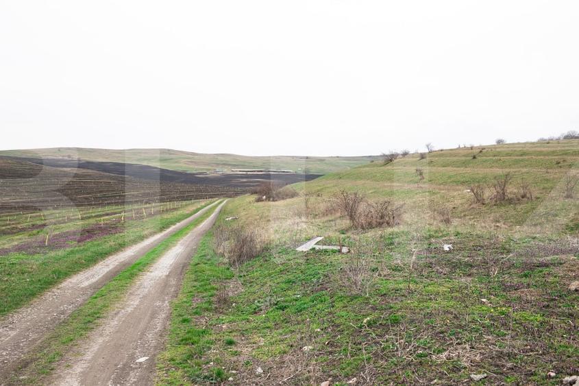Teren Construcții intravilan de 5800 mp, în Câmpenești