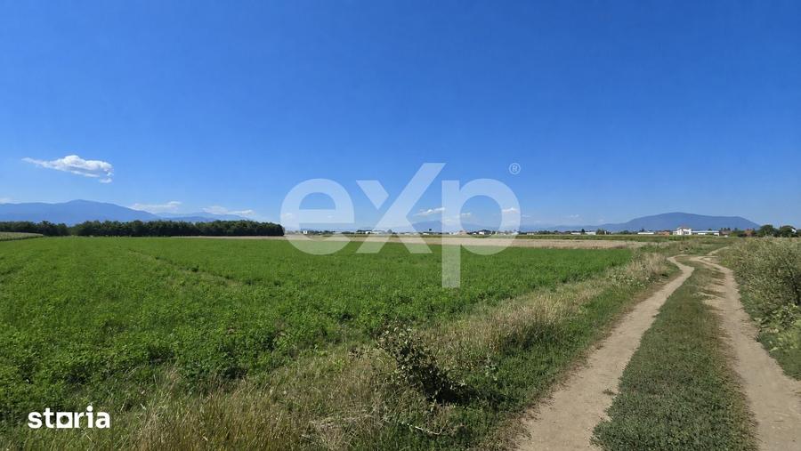 Teren de 17204 mp, în Stupini