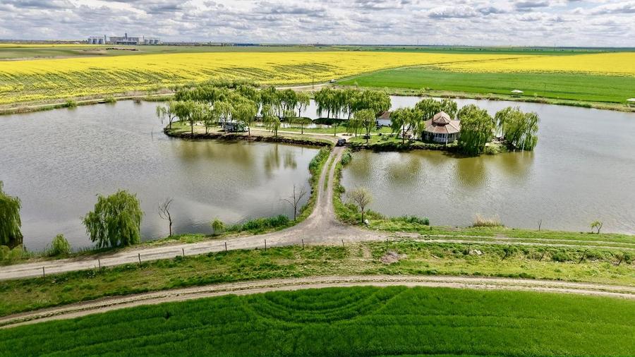 Proprietate specială, de 46,640 mp, în Orțișoara