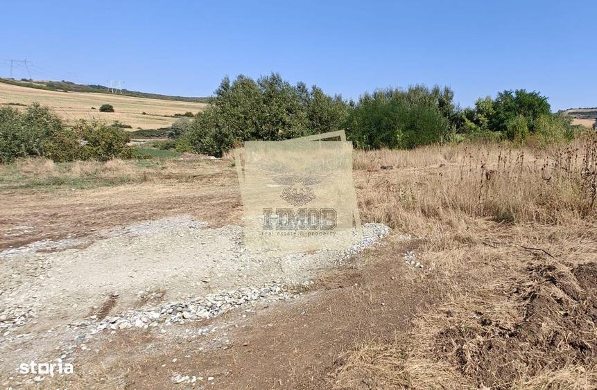 Spațiu comercial, în Șura Mare