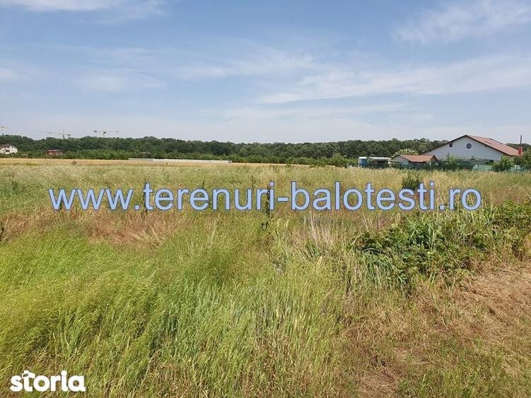 Teren de 620 mp, în Balotești