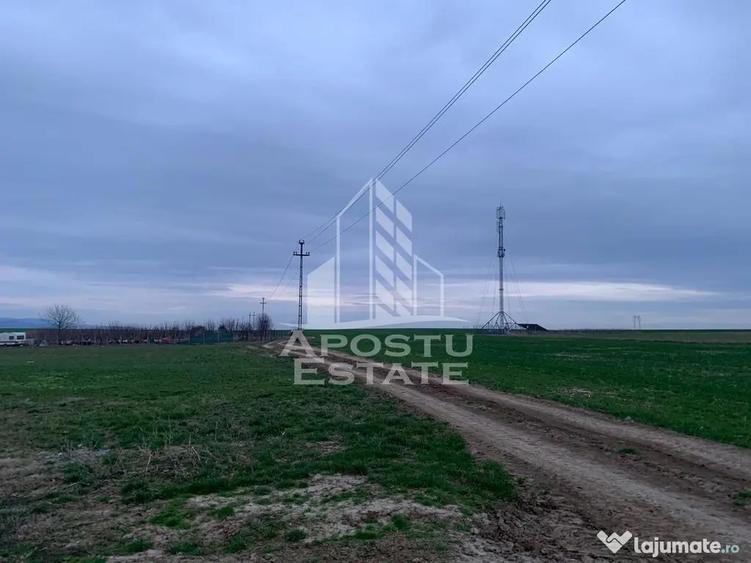 Teren de 2635 mp, în Zăbrani