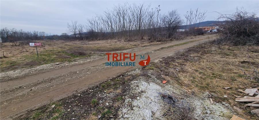 Teren Construcții intravilan de 1091 mp, în Cetate