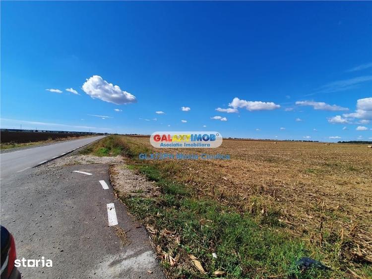 Vanzare teren intravilan Paulesti Prahova cu PUZ - 1