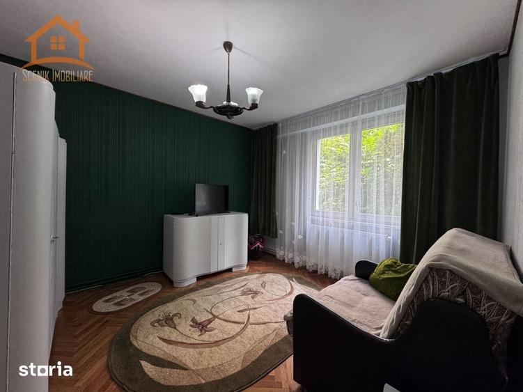 Apartament cu 3 camere de inchiriat, zona Grivitei - 10