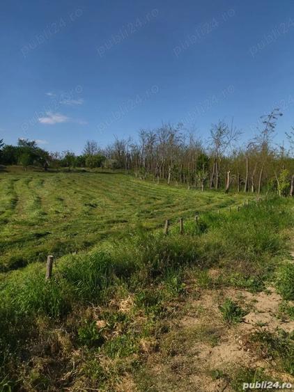 Teren de 2500 mp, în Mihăilești