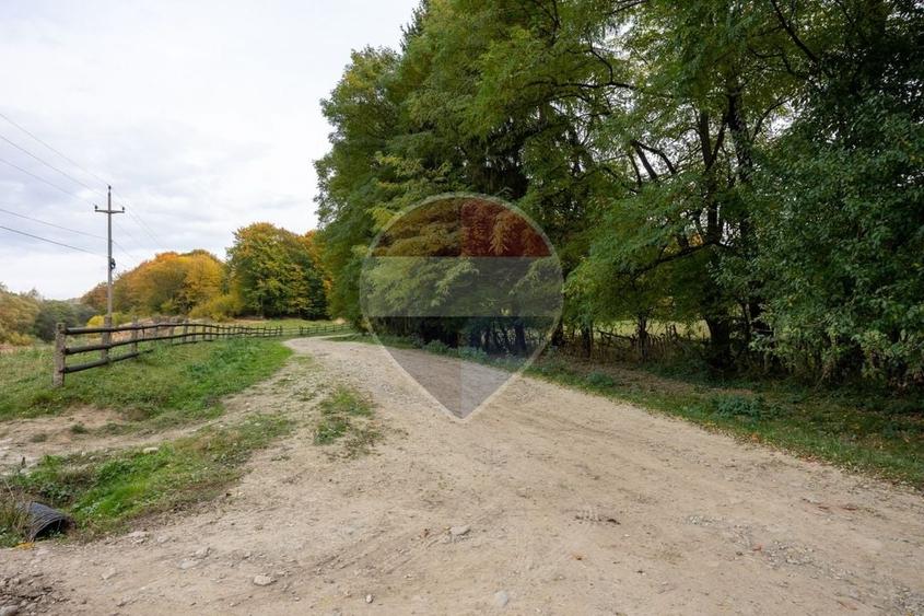 Teren agricol extravilan de 9540 mp, în Teliu