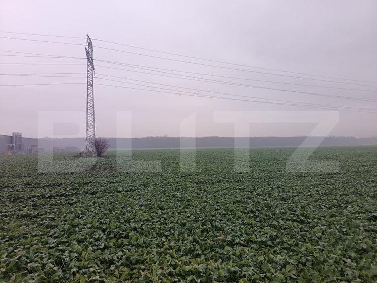 Teren Construcții intravilan de 15000 mp, în Păulești
