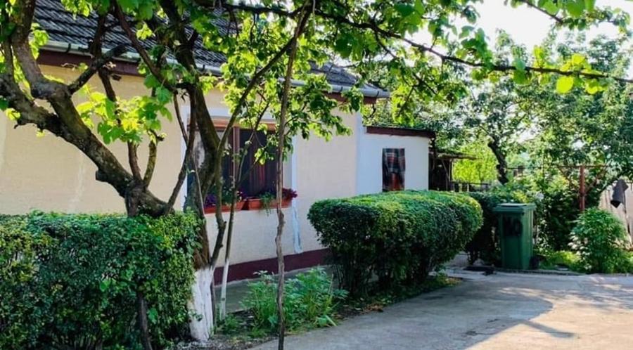 Casă individuală cu 4 camere cu Teren 5000 Mp în Remetea Mică