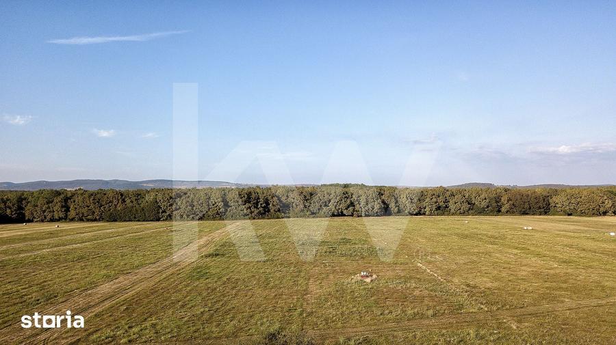 Teren de 600 mp, în Nord