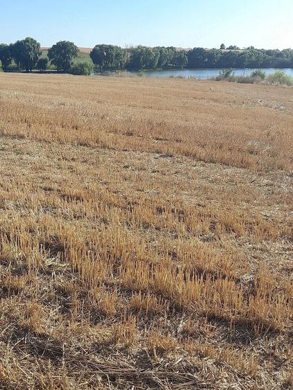 Teren de 1250 mp, în Cândeasca