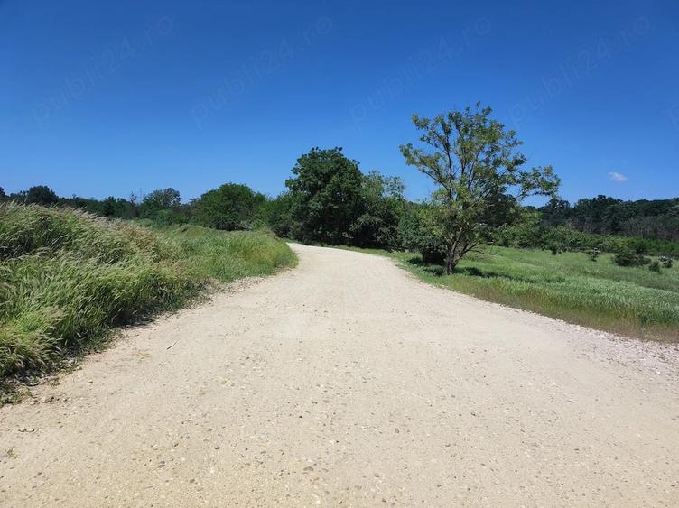 Teren de 610 mp, în Cornetu