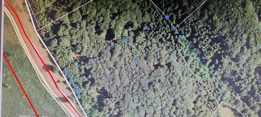 Teren Construcții extravilan de 8000 mp, în Central