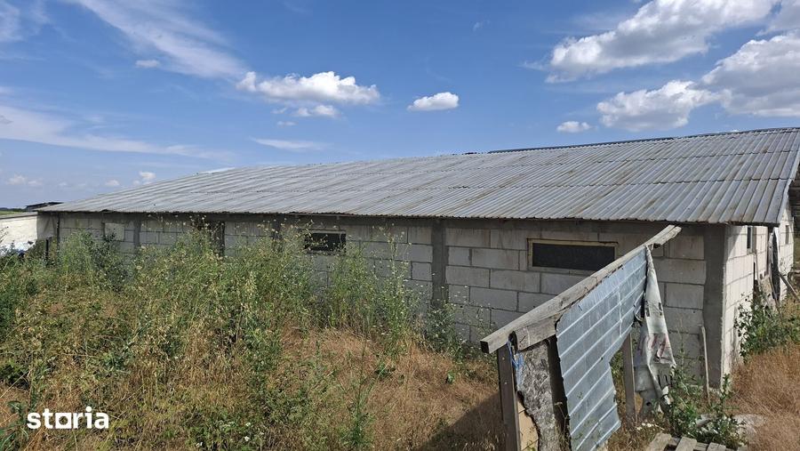 Teren de 5000 mp, în Mânăstioara