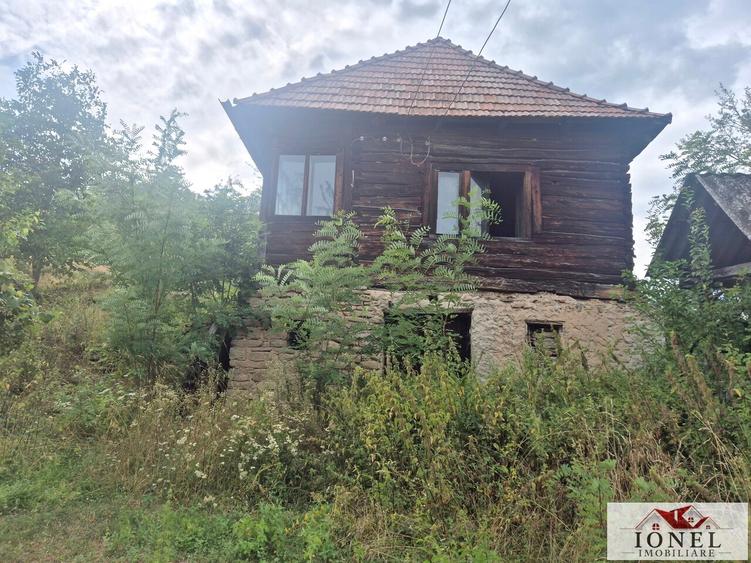 Casă individuală cu 3 camere cu Teren 6296 Mp în Meteș