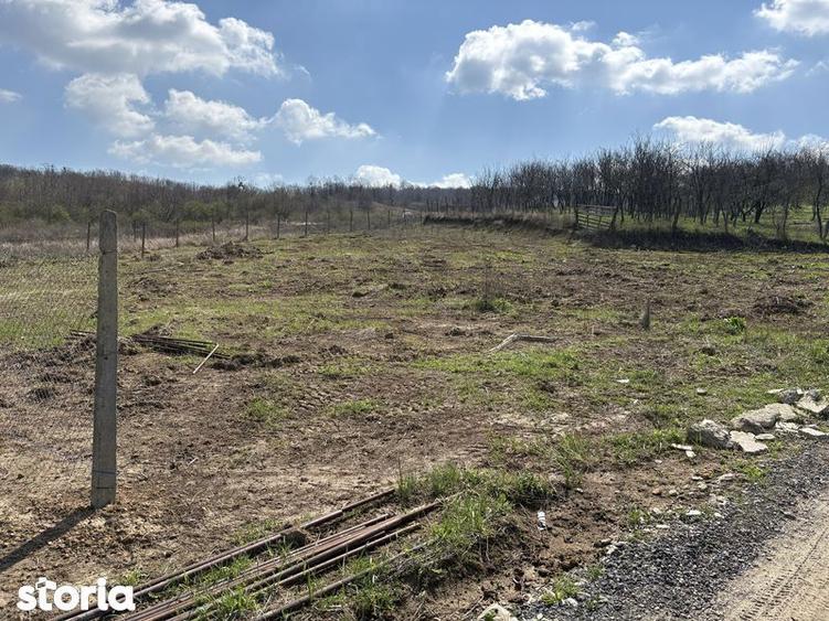 Teren de 700 mp, în Tomești