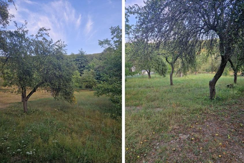 Teren Construcții extravilan de 5600 mp, în Arăneag