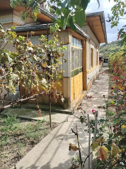 Casă cu Teren 750 Mp în Hotarele