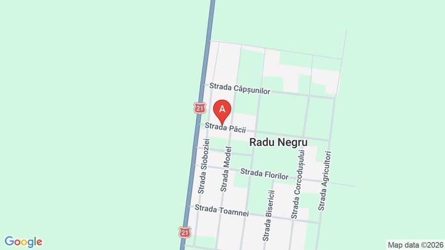 Teren agricol intravilan de 1000 mp, în Radu Negru