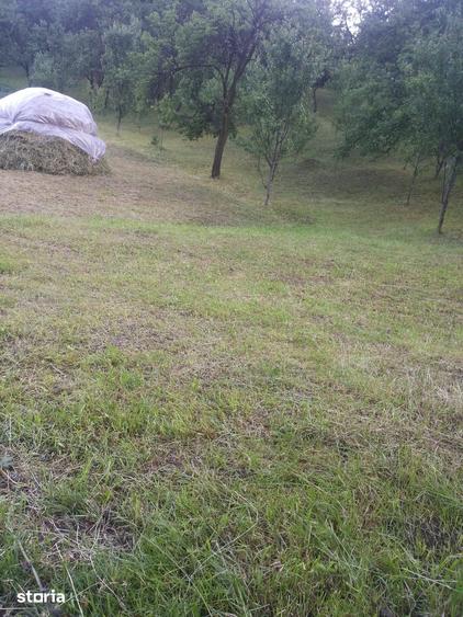 Teren de 1000 mp, în Măneciu